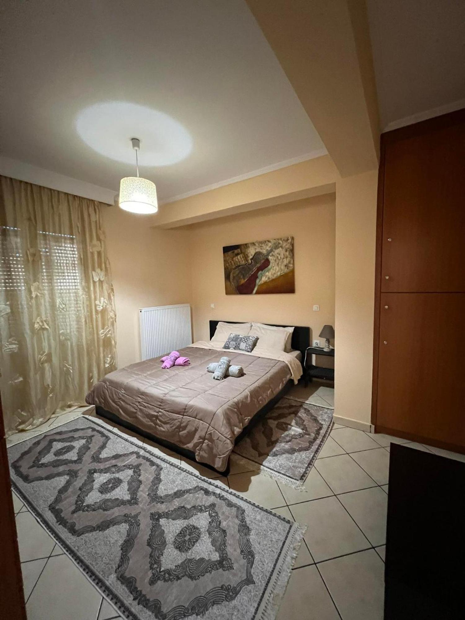 Bakopoulos Resort.ενα όμορφο με τζάκι Апартаменты Трикала